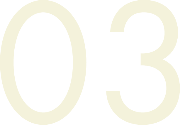 o3